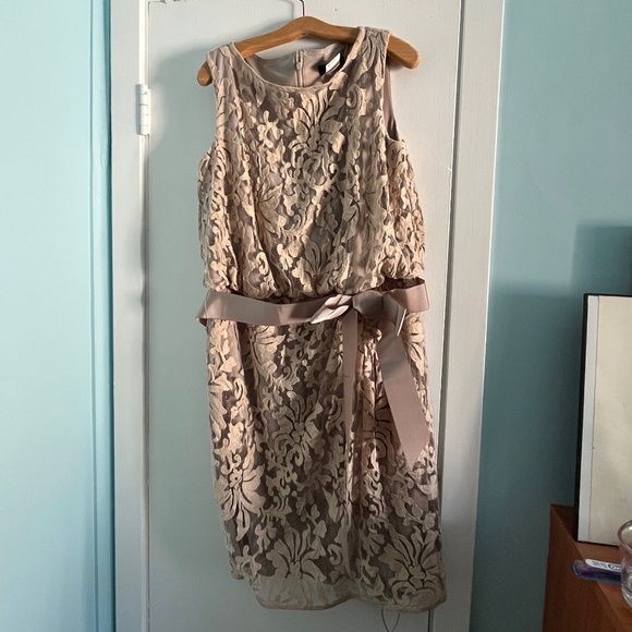 Tadashi Shoji Lace Overlay Dress in Sand, 14 - Picture 2 of 11